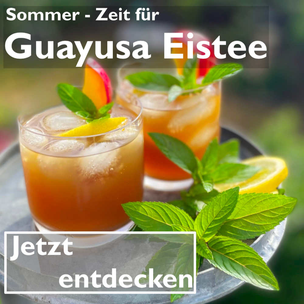 Guayusa Tee ein Energietee super für Eistees